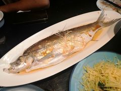 清蒸太湖野生大白鱼-梅飞酒家(名辉豪庭店)