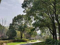 -昆山城市生态森林公园