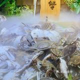 外滩附近超人气自助烤涮城