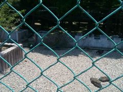 -南京金牛湖风景区