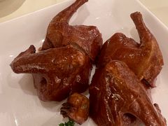 -利苑酒家(合景国际金融广场店)