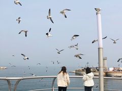 -东港音乐喷泉广场