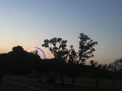 -祥源·阜阳生态乐园