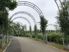 -尚贤河湿地