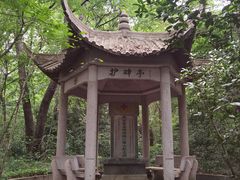 -灵谷景区