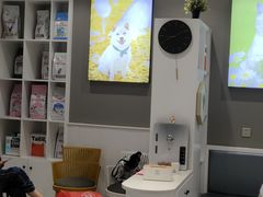 -关爱宠物医院·猫科中心·消化科(滨湖万达分院)