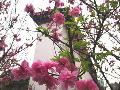 -乌山风景区
