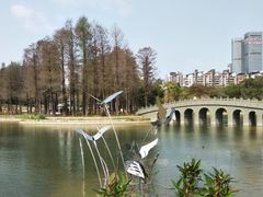-四海公园(南山区)