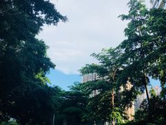 -水围村