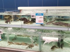 -盒马X会员店(上海森兰商都店)