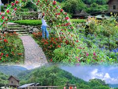-广东天露山旅游度假区