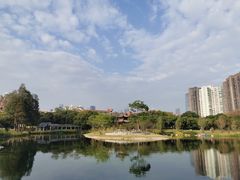 -四海公园(南山区)
