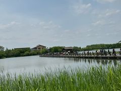 -溱湖国家湿地公园