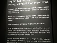 -罗红摄影艺术馆