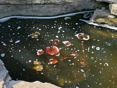-无锡梅园公园