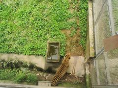 -宁波野生动物园