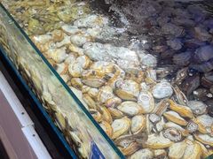 -四海蒸鲜蒸汽海鲜自助(北戴河店)