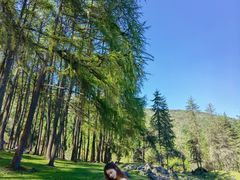 -硗碛藏寨·神木垒景区