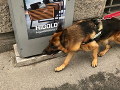 -米兰马尔彭萨国际机场