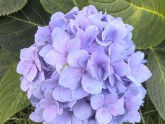 -常州古运河南大街文化旅游区-人民公园