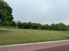 -苏州湾体育公园