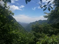 -旗山国家森林公园