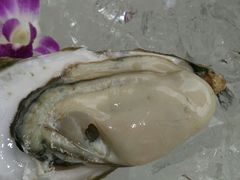 -蚝专家(北滘店)