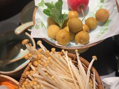 -季季山·云南野生菌火锅(上海首店)