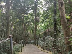 -七仙岭温泉国家森林公园