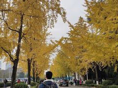 -四川大学(望江校区)