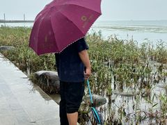-苏州东太湖生态园