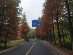 -南京市无想山景区