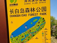 -长白岛森林公园