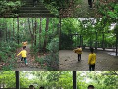 -西湖风景区-江洋畈生态公园