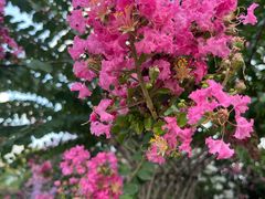 -杭州城北体育公园