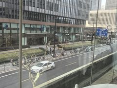 -上海小南国(不夜城店)