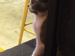 iphone_upload_pic-MIKAKU(万达广场上海宝山店)