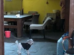 -酷鱼垂钓CLUB(朝阳区博大路店 )