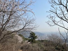 -香山公园
