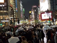 -涩谷区