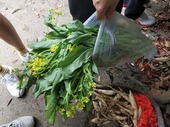 -丰依竹食·老牌竹筒饭