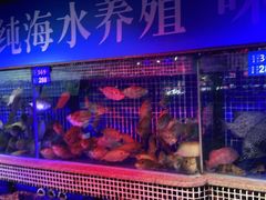 水产区-青蓬蒸汽海鲜·深圳老字号·团建聚会(壹方城店)
