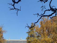 -灵谷景区