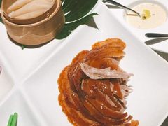 -梧桐