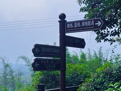-天鹿湖森林公园