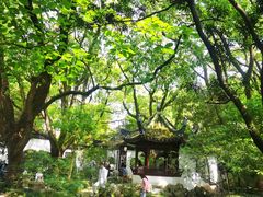 -上海醉白池公园