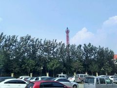 android_upload_pic-青岛方特梦幻王国