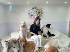 -汪说·狗咖·拼豆·宠物周边DIY(旺城大厦店)