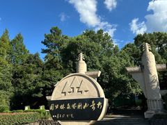 -大奇山国家森林公园
