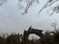 -广富林郊野公园
